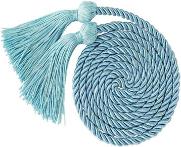 CSHS Honor Cords – CSTA Store