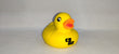 CSHS Rubber Duck